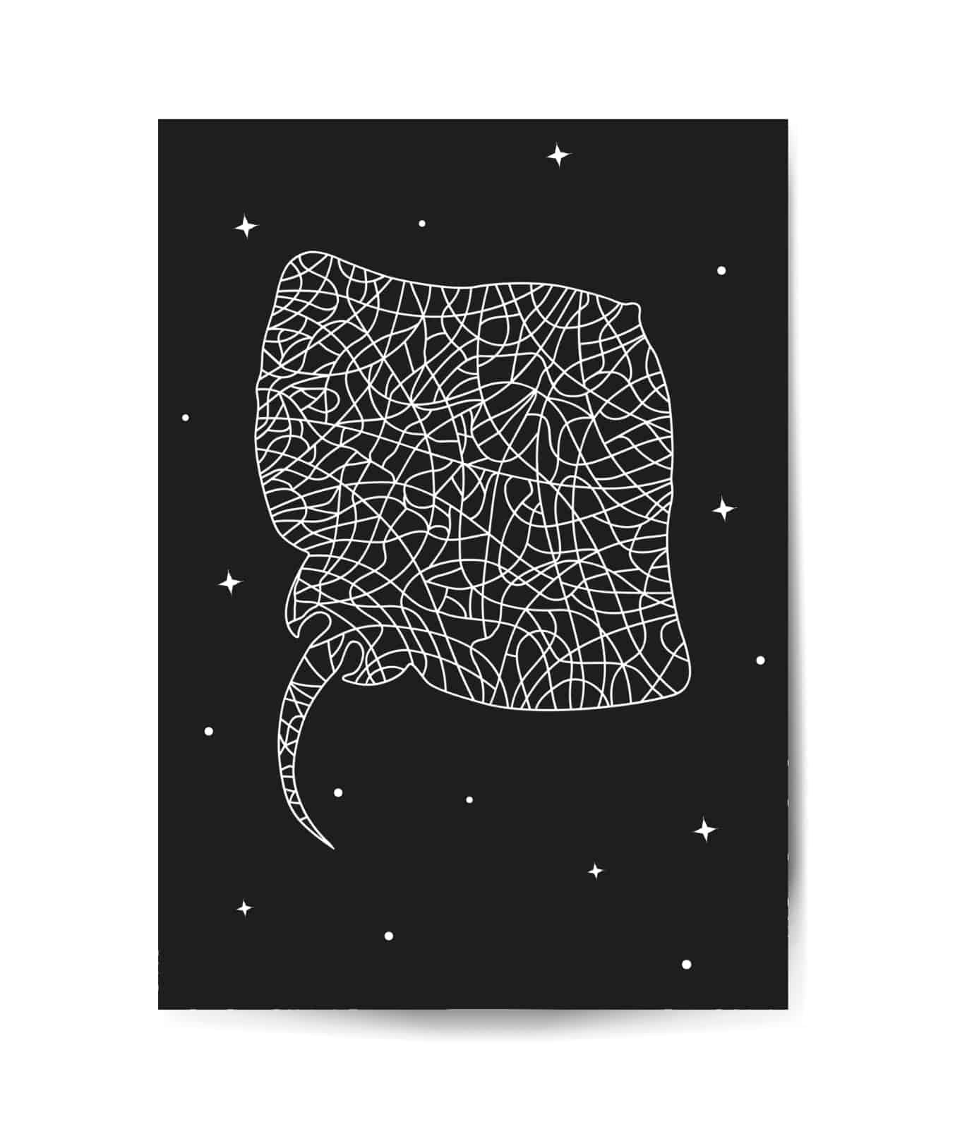 Rochen Poster vis wear mockup